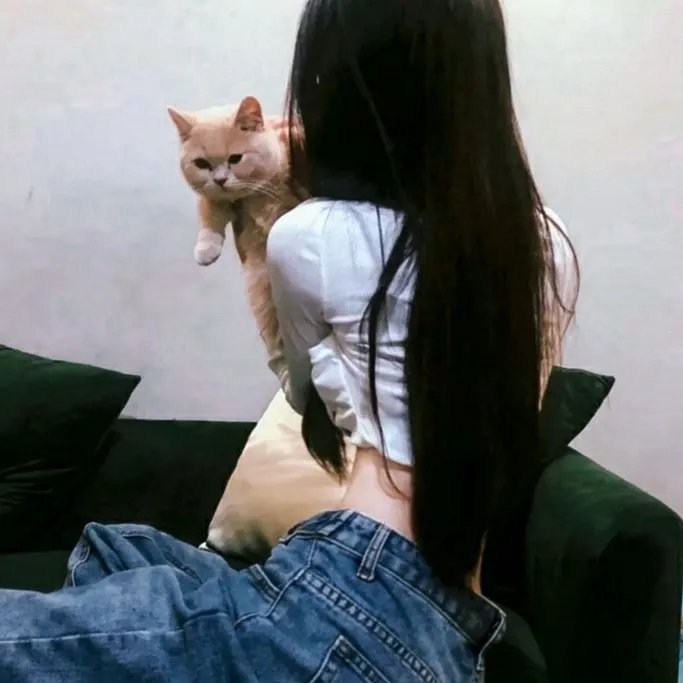诱惑的食谱